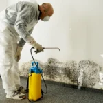What to Do in a Cleaning Emergency: A Quick Guide
