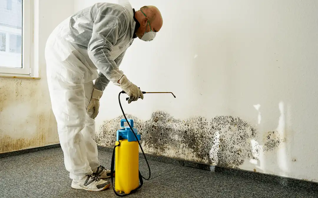 What to Do in a Cleaning Emergency: A Quick Guide